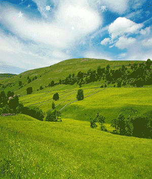 powered by design-telesis web design